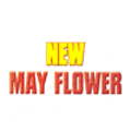 May Flower Logo