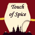 Touch Of Spice Logo
