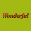 Wonderful Chinese Barnsley Logo