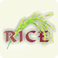 Rice Chinese Logo